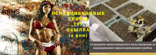 прущая мука Новокубанск