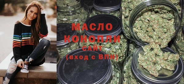 твердый Новозыбков