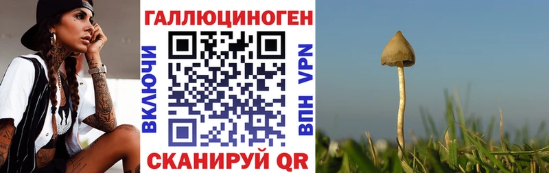 Галлюциногенные грибы прущие грибы  закладка  Сурск 